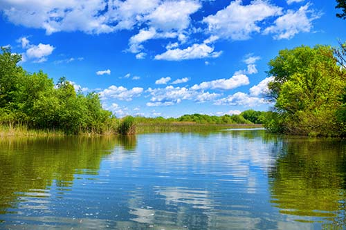 CANUE | Webinaires et coursThe beautiful Tisza lake with a nice reflection on the water