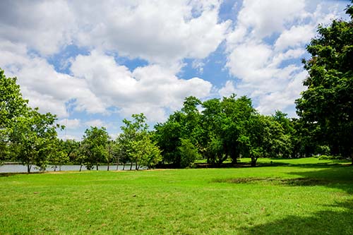 CANUE | Webinaires et coursGreen Park. Green Park in Urban City at Cloudy, excercise and re