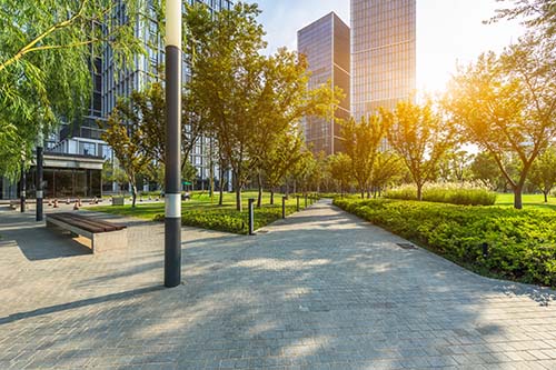 CANUE | Webinaires et coursbeautiful park at a sunny day, nanjing, china
