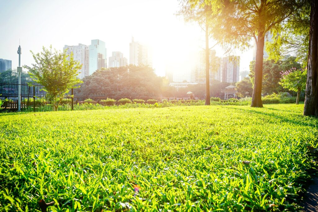 CANUE | Villes et climatgreen park under sunshine