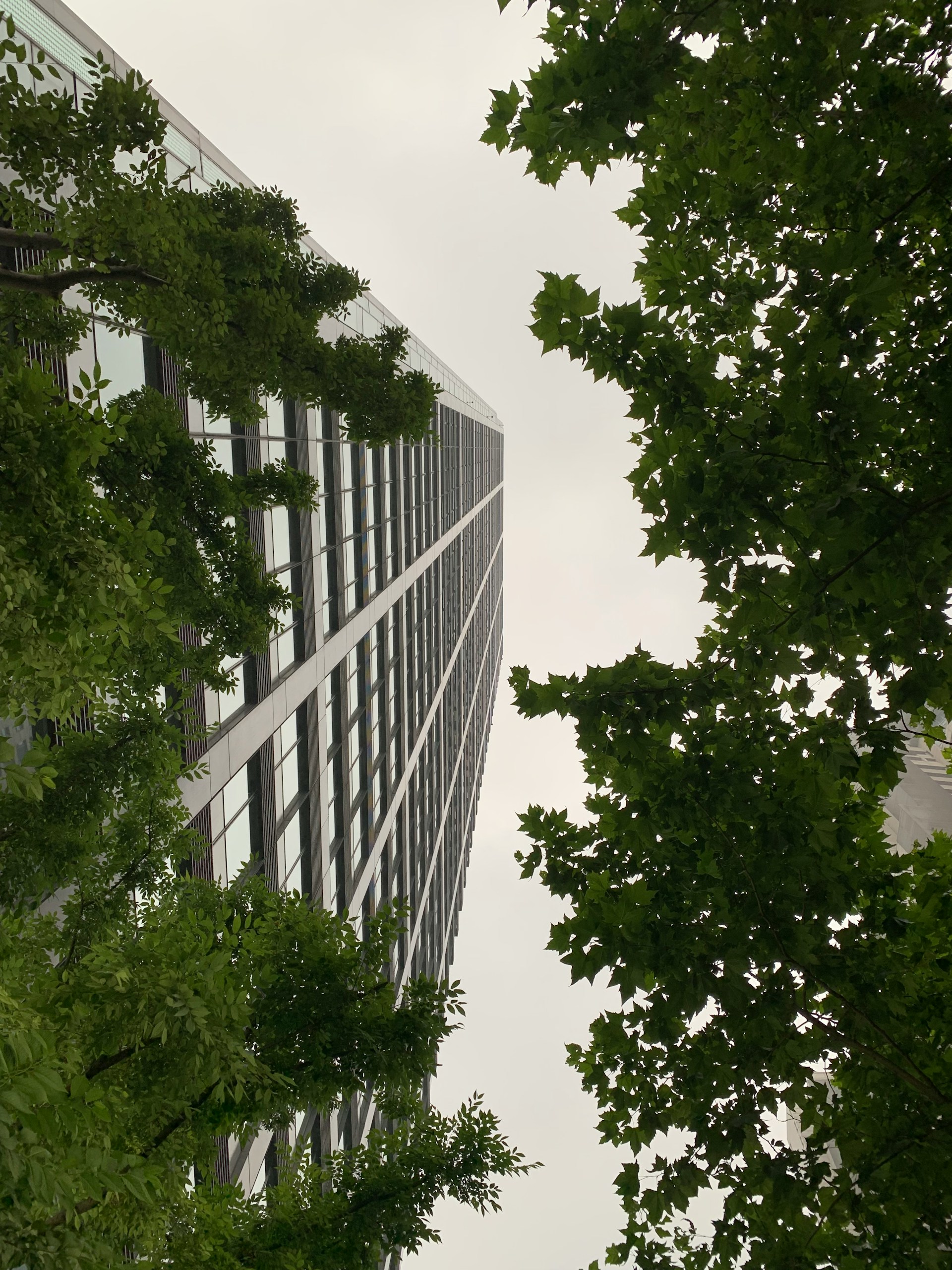 CANUE | Classement environnemental des écoles de Toronto : un projet pilotestudent_tree_canopy