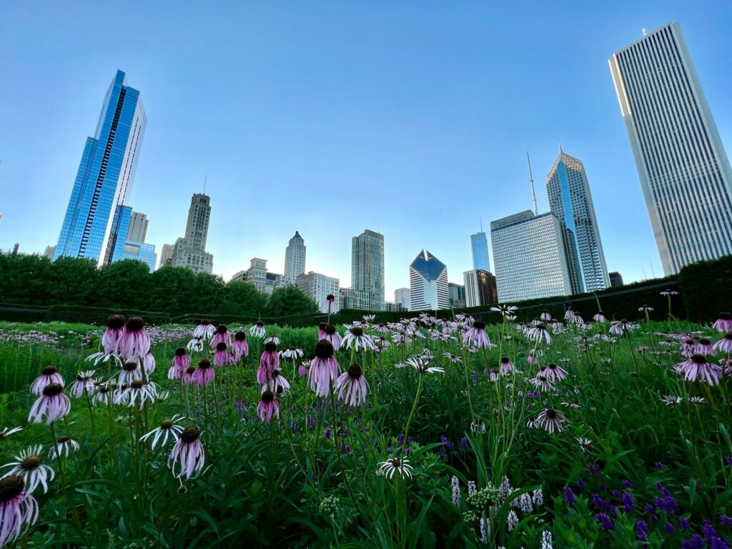 CANUE | Webinaires de Villes et ClimatChicago_green_space.jpg