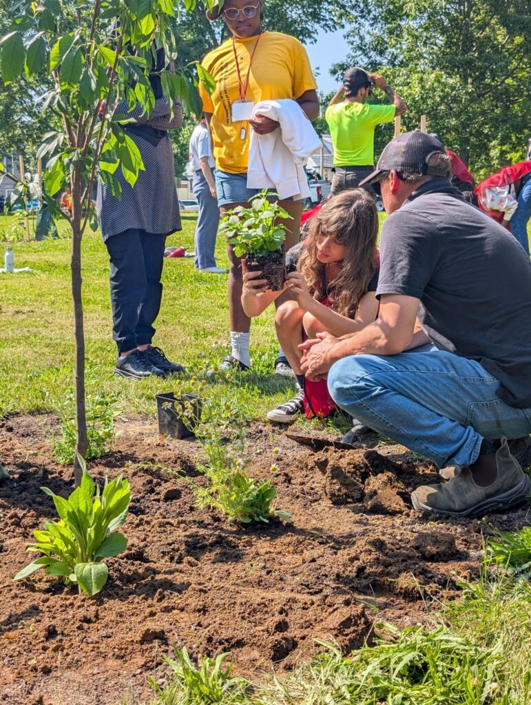 CANUE | Fredericton mise sur les forêts nourricières pour renforcer sa résilience climatiqueFredericton-Planting Fruit Trees 1