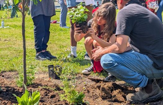 Fredericton-Planting Fruit Trees 1