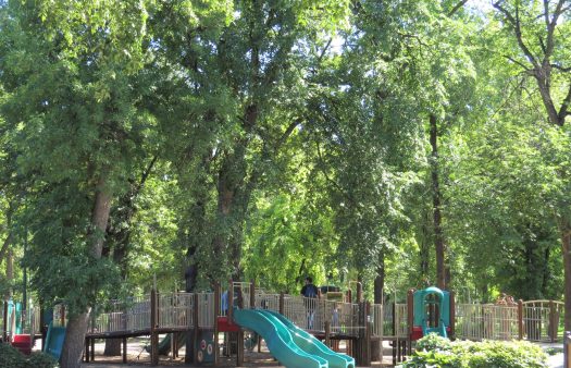 Winnipeg-Shaded Playground