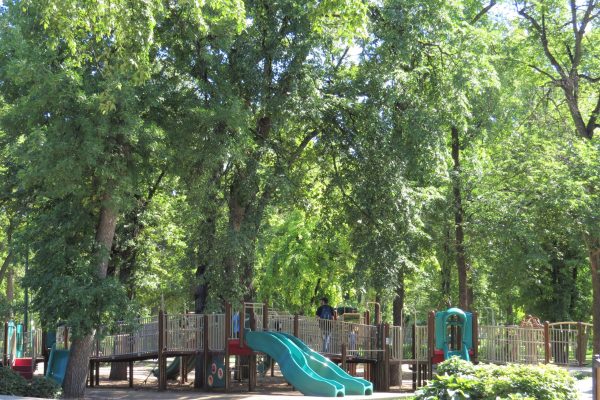 CANUE | Webinaire 7 : La stratégie forestière urbaine équitable de Winnipeg Image Name 