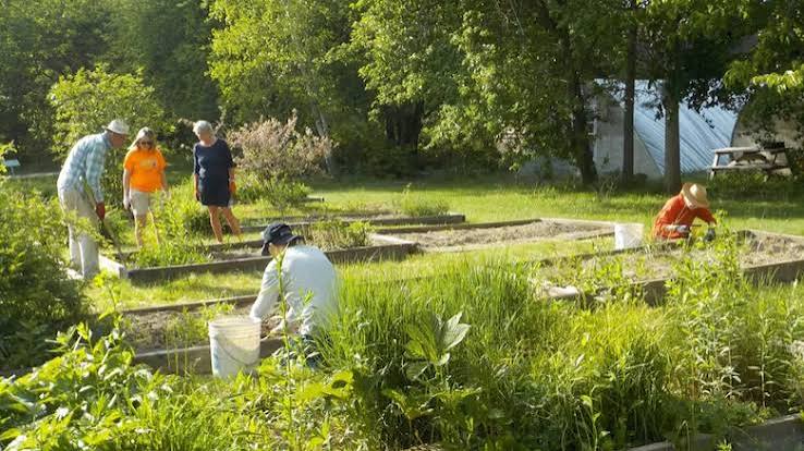 CANUE | Food Forests in Fredericton increase Climate Resiliencyfredericton