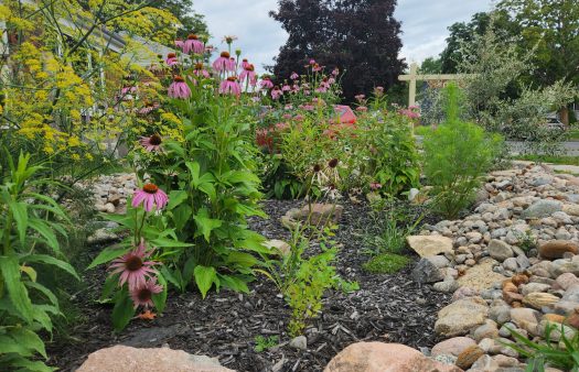 GreenUP-Rain Garden-3