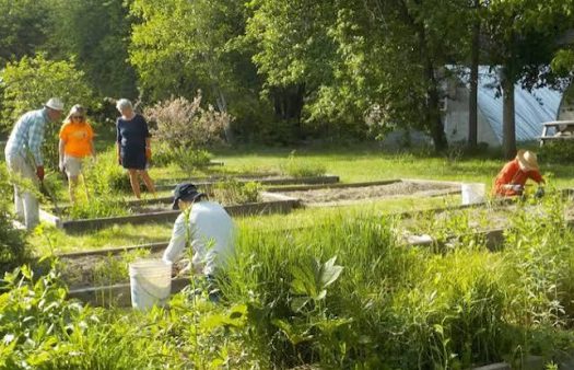 CANUE | Food Forests in Fredericton increase Climate Resiliency Image Name 